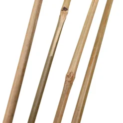 Bambupinne 150 cm 4-pack Home>it