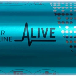 Batteri D/LR20 2-pack