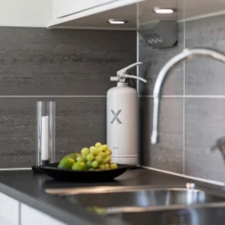 Brandsläckare Vit 2 kg Nexa
