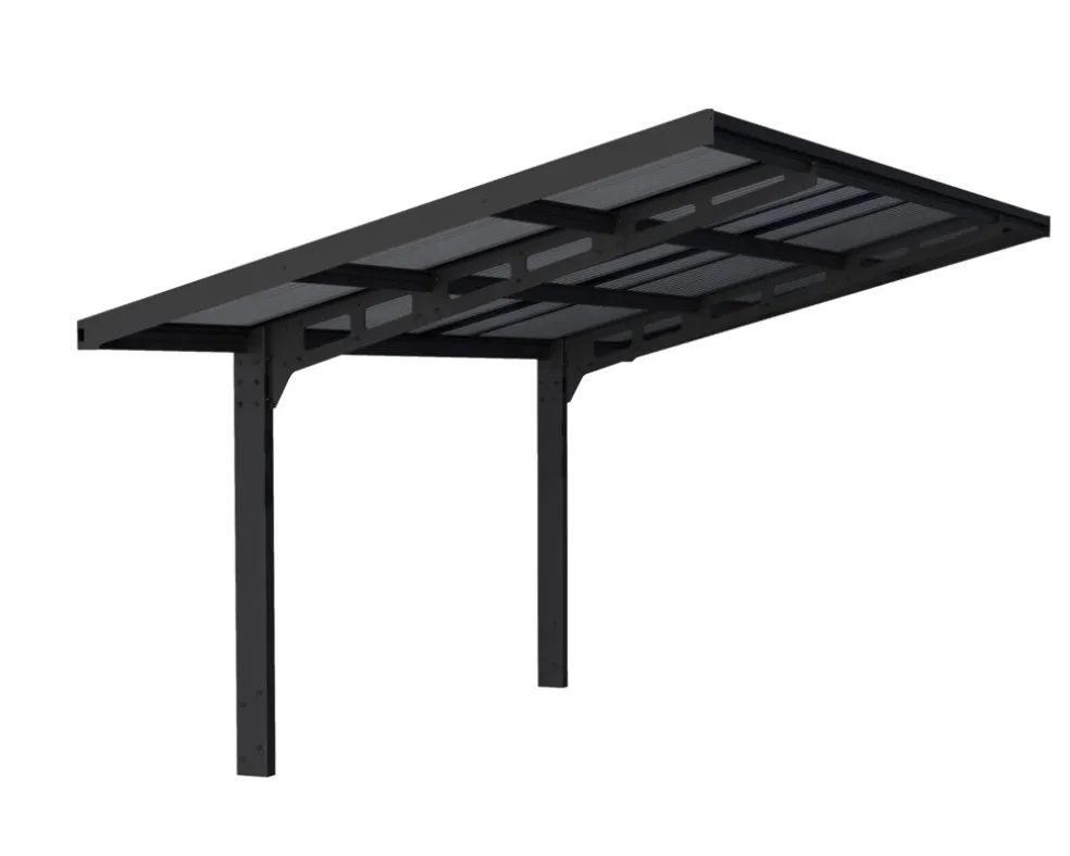 Carport Sydney 286 x 586,5 cm Svart Canopia by Palram