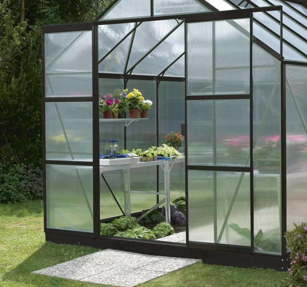 Dubbeldörrar Växthus Merkur Svart 630 x 1800 mm Vitavia