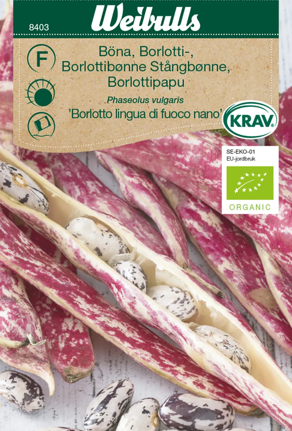 Frö Böna ‘Borlotto lingua di fuoco nano’ KRAV Weibulls
