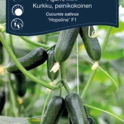 Frö Gurka Mini 'Hopeline F1' Weibulls