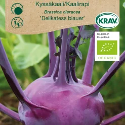 Frö Kålrabbi 'Delikatess Blauer' KRAV Weibulls