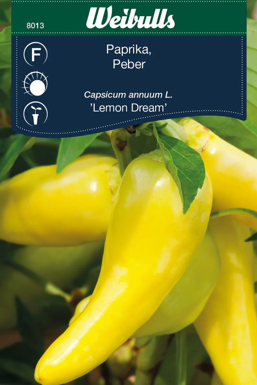 Frö Paprika 'Lemon Dream' Weibulls