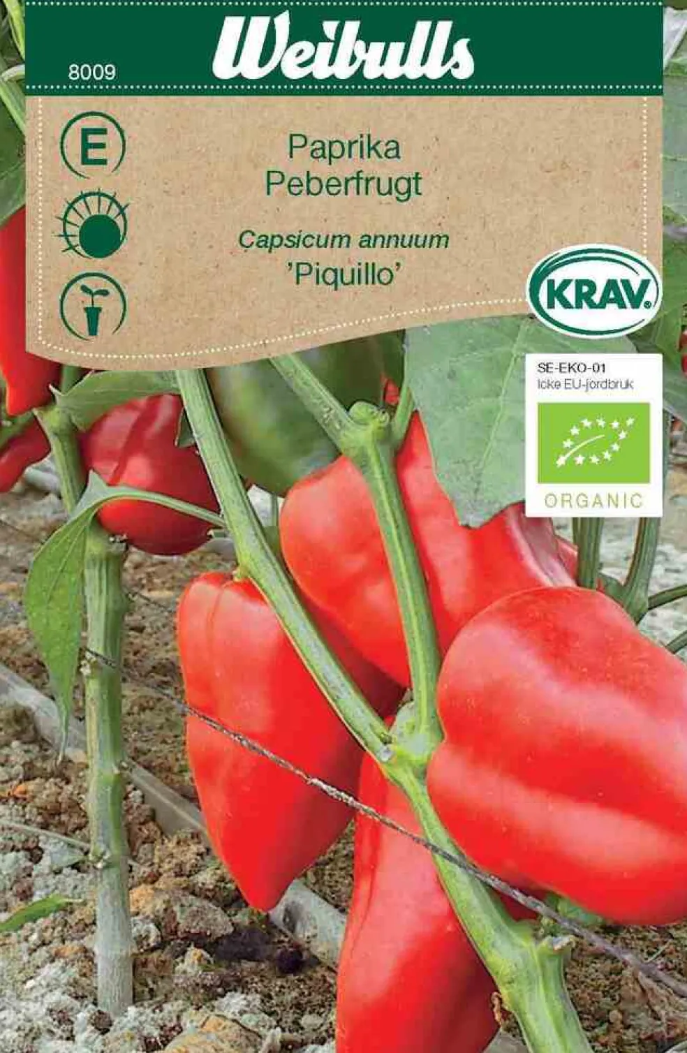 Frö Paprika ‘Piquillo’ KRAV Weibulls