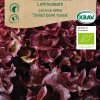 Frö Plocksallad 'Salad Bowl Rossa' KRAV Weibulls