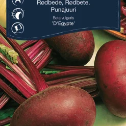 Frö Rödbeta 'D'Egypte' Weibulls