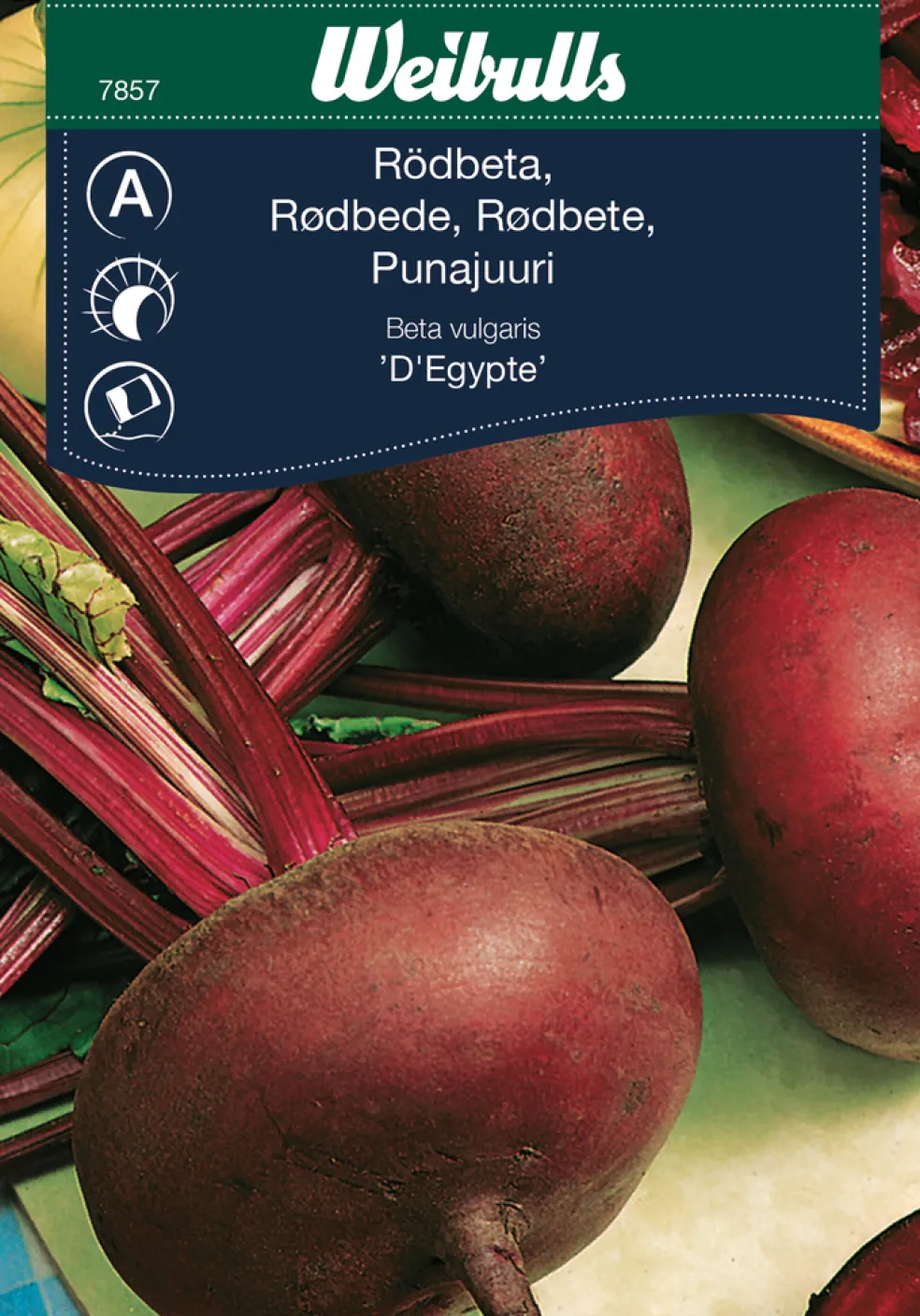 Frö Rödbeta 'D'Egypte' Weibulls
