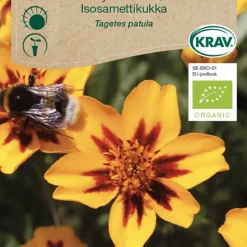 Frö Tagetes Låg KRAV Weibulls