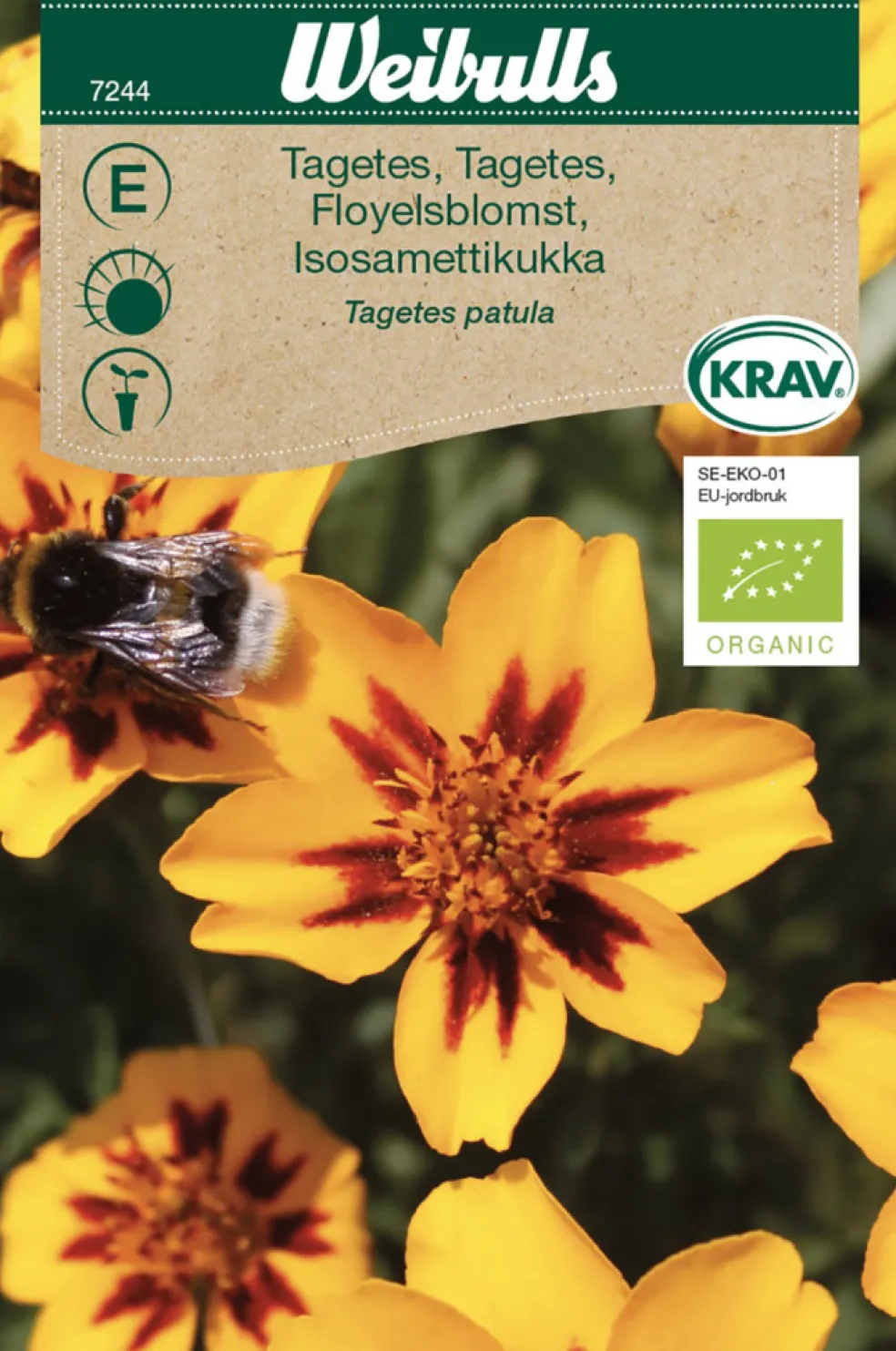 Frö Tagetes Låg KRAV Weibulls