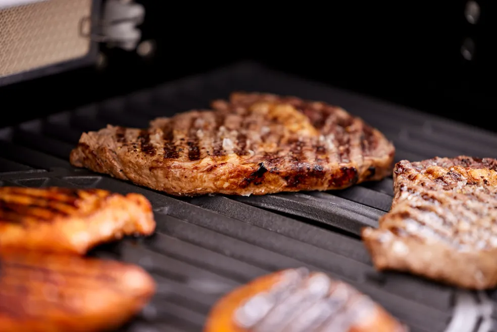 Gasolgrill 4 brännare + 1 bakre brännare 16,9 kW Grillexpert