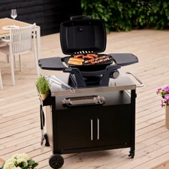 Gasolgrill Bärbar 3,2 kW Grillexpert