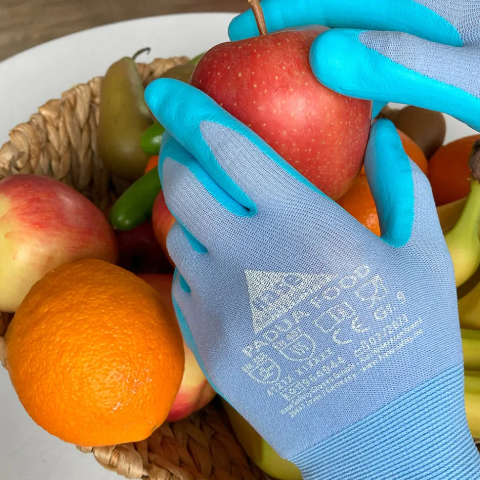 Handske Padua Food Strl. 8 Hase Safety Gloves