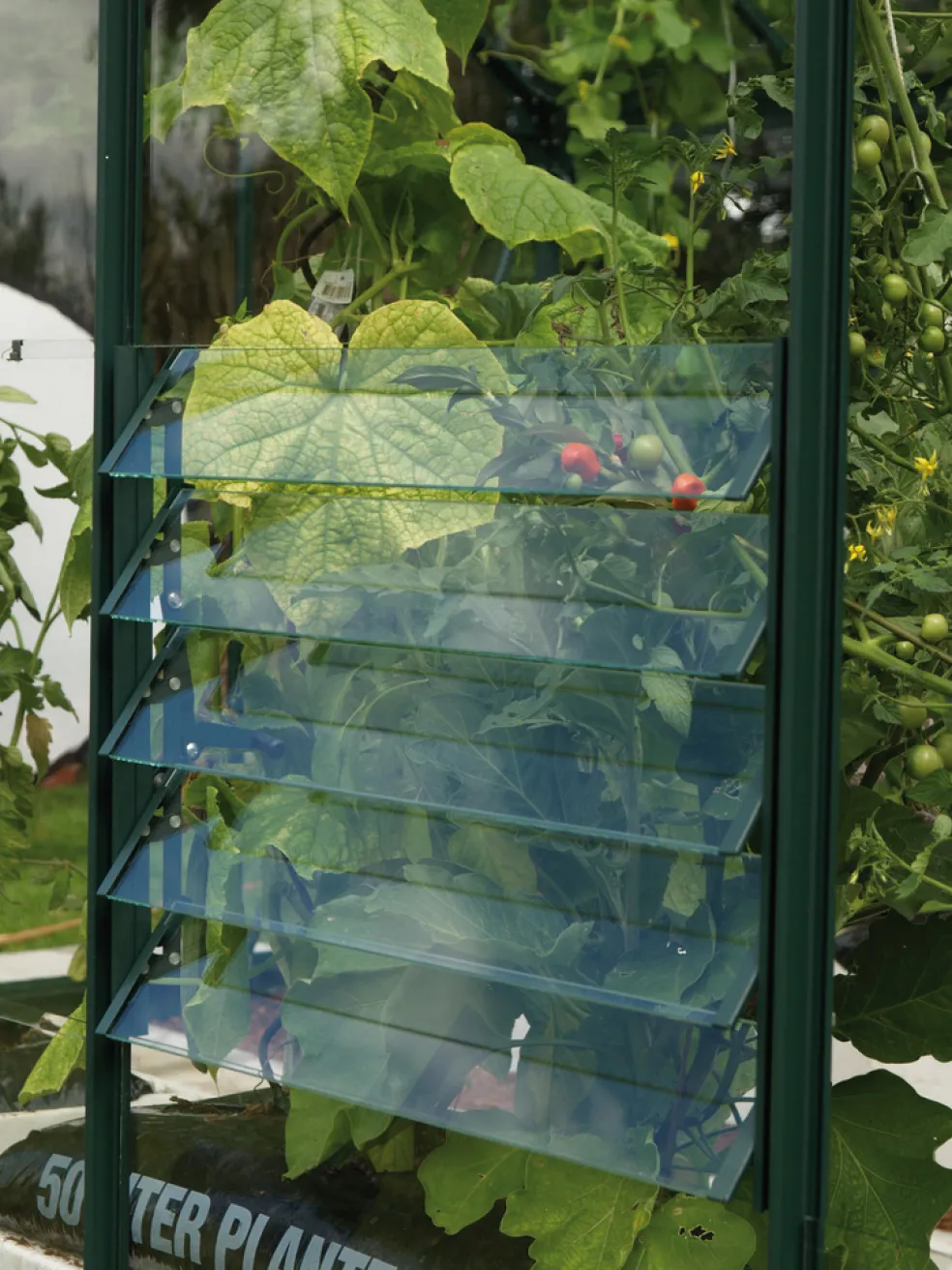 Jalusifönster Växthus Grön 610 x 450 mm Vitavia
