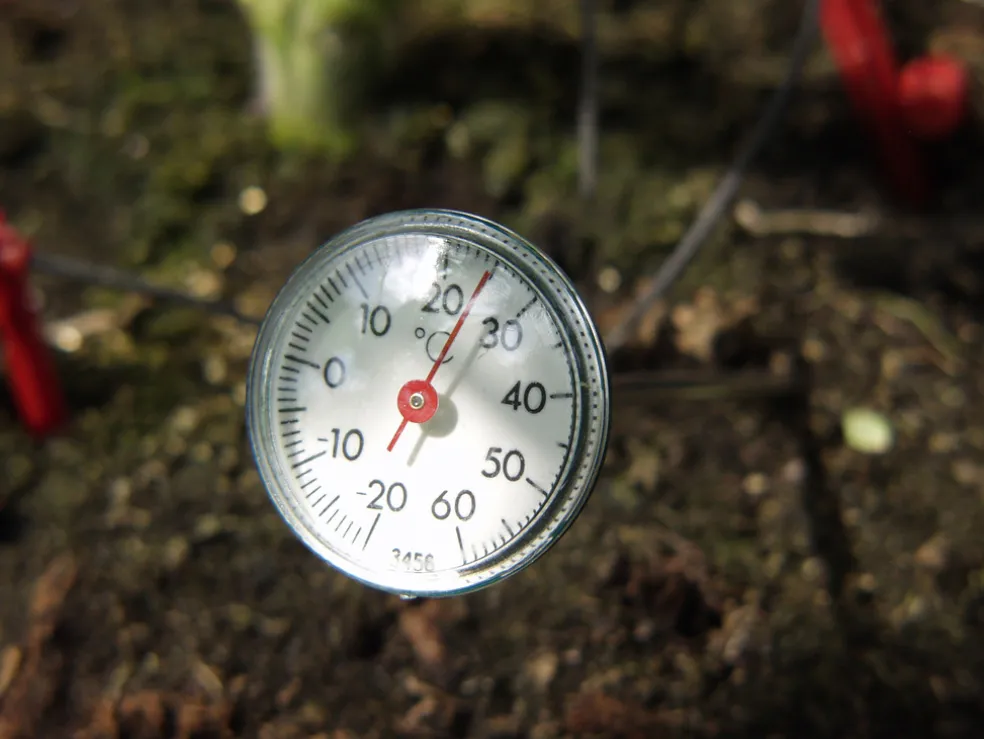 Jordtermometer Växthus Vitavia