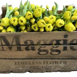 Konstblomma Tulpan Gul 5-pack