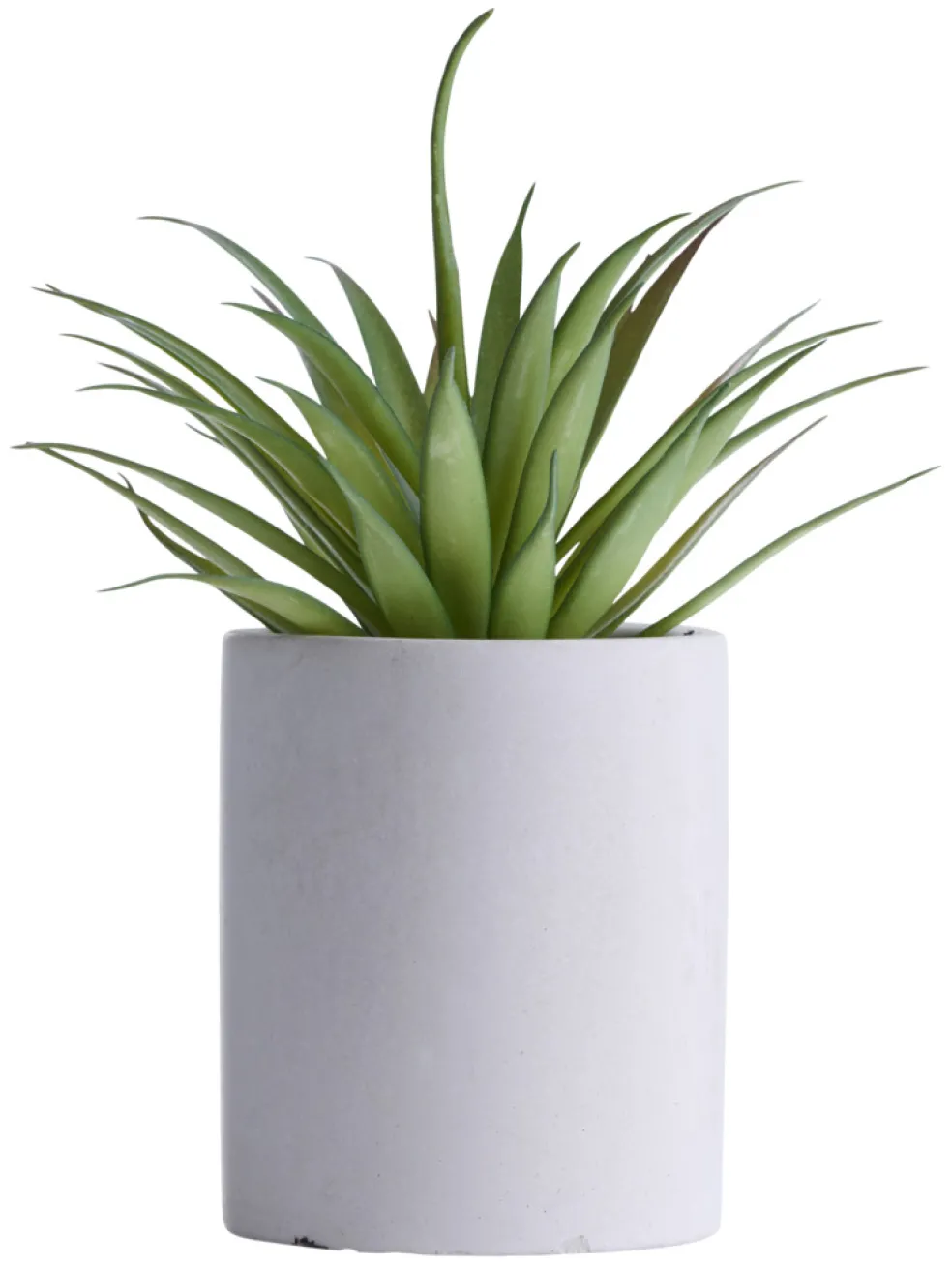 Konstväxt Agave Ø7,4 x 19 cm