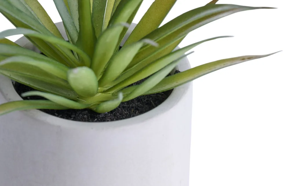 Konstväxt Agave Ø7,4 x 19 cm