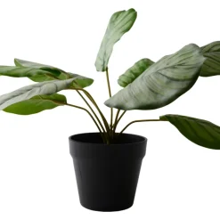 Konstväxt Calathea 30 cm