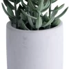 Konstväxt Tetragona Ø7,4 x 19 cm