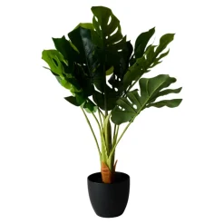 Konstväxt Monstera 75 cm