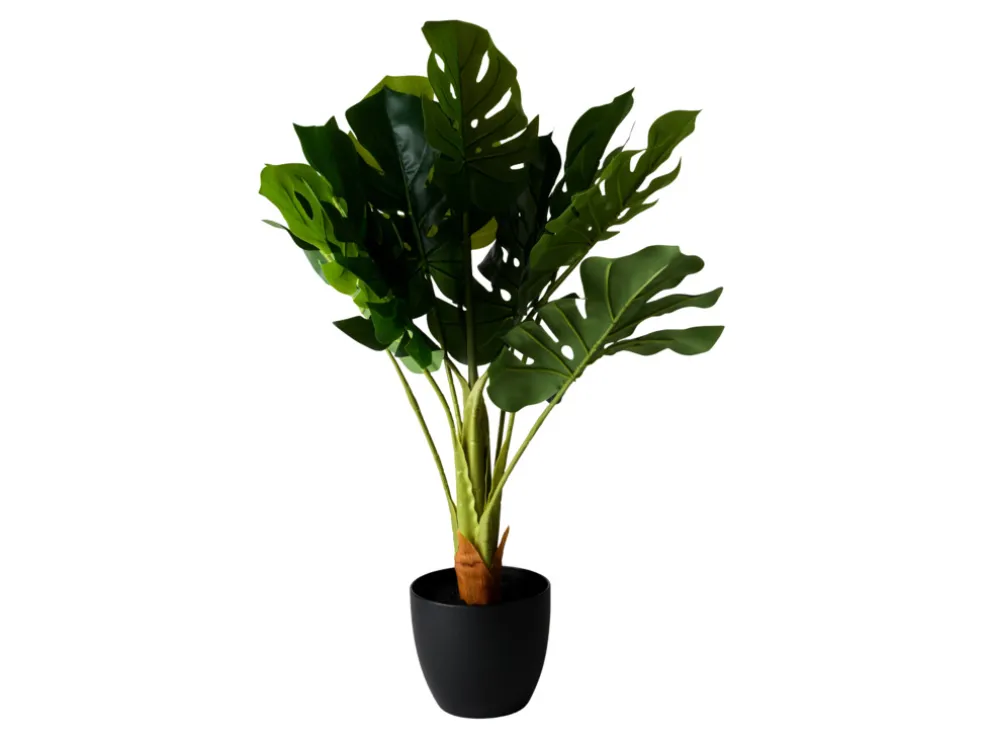 Konstväxt Monstera 75 cm