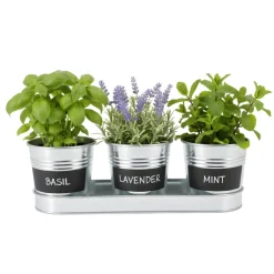Krukset m/bricka 28,5 x 8,5 x 9 cm Garden