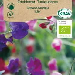 Luktärt 'Mix' KRAV Weibulls