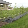 Ogräsduk WeedControl Recycled 1 x 20 m Fibertex