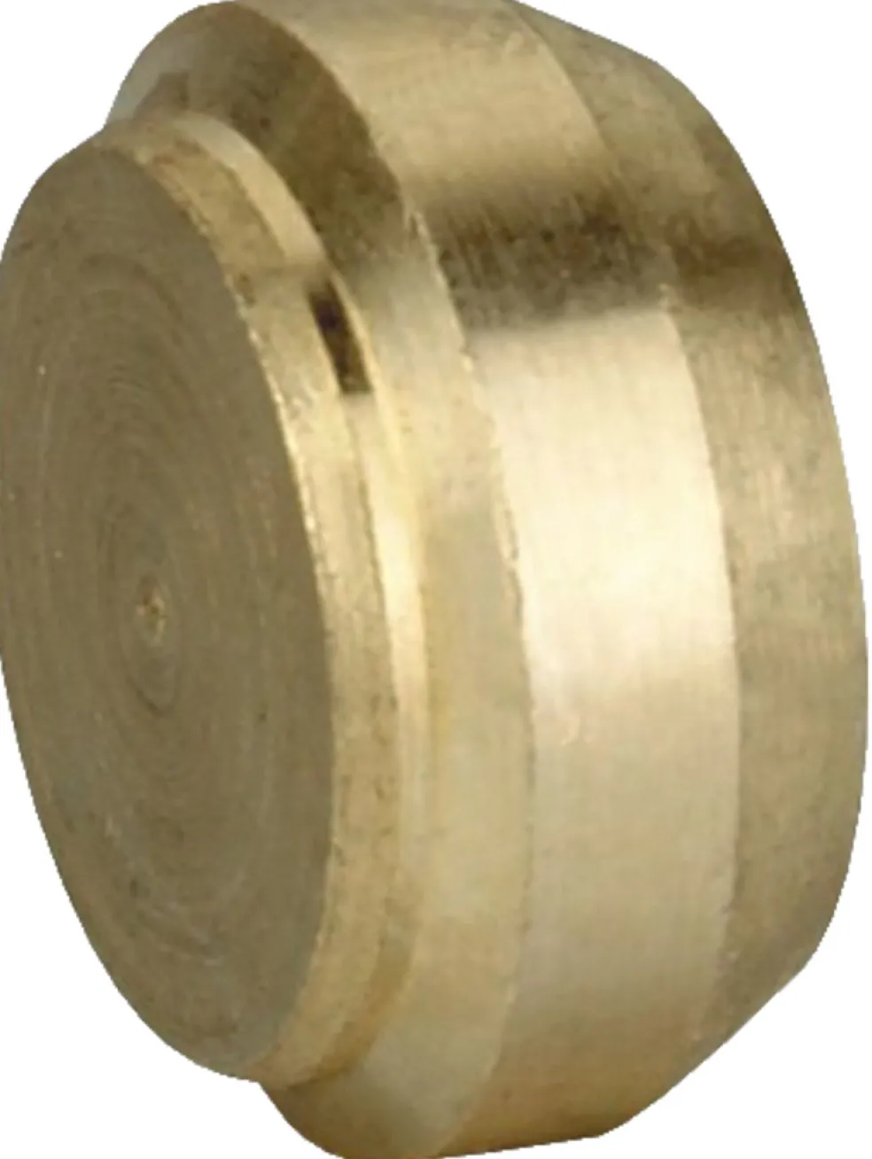 Plugg t/klämringskoppling Ø12 mm 2-pack ScandFix