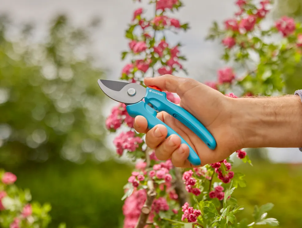 Sekatör EasyCut Gardena