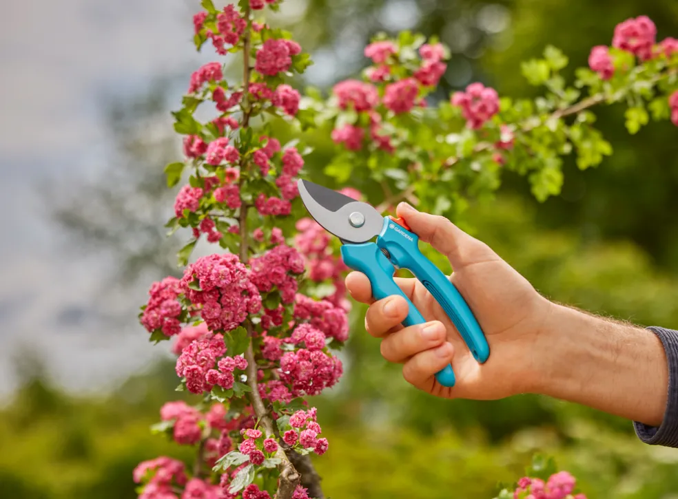 Sekatör EasyCut Gardena
