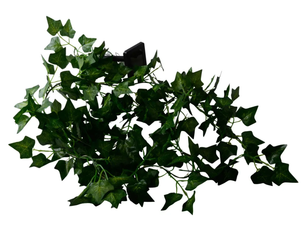 Solcellsslinga Murgröna 20 LED