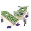 Spel Bean Bag Deluxe Nordic Games