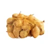 Sättlök Gul 'Sturon' 250 g Grønne Fingre®