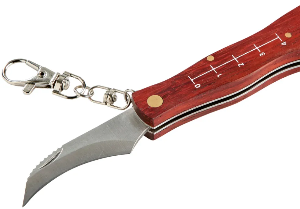 Svampkniv Hopfällbar 169 mm