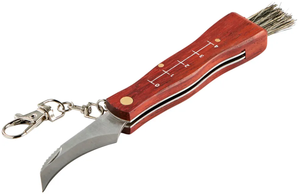 Svampkniv Hopfällbar 169 mm