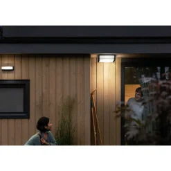 Taklampa Moonshine Antracit Philips