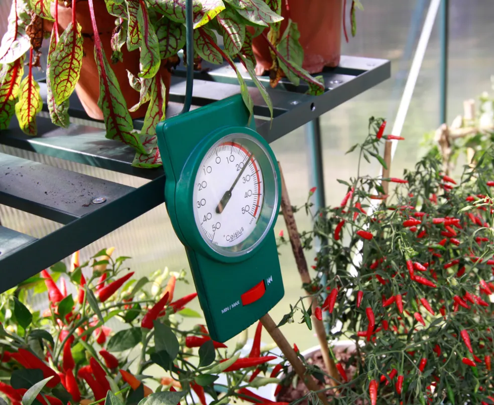 Termometer Min/Max Växthus Vitavia