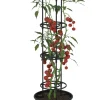 Tomatkruka Ø30 cm m/spaljé 115 cm