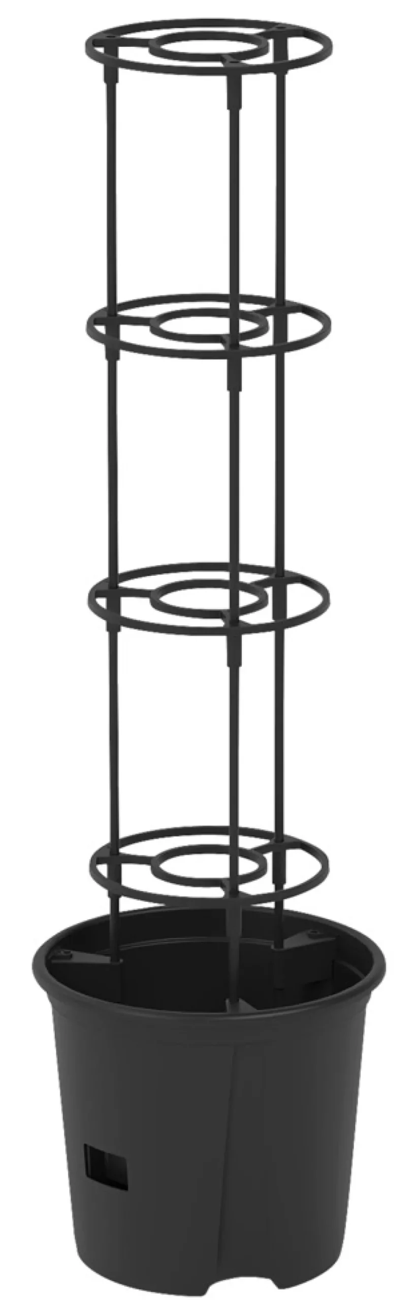 Tomatkruka Ø30 cm m/spaljé 115 cm