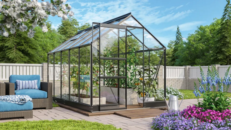 Växthus Apollo 6200 Svart Glas Sockel 6,2 m² Vitavia