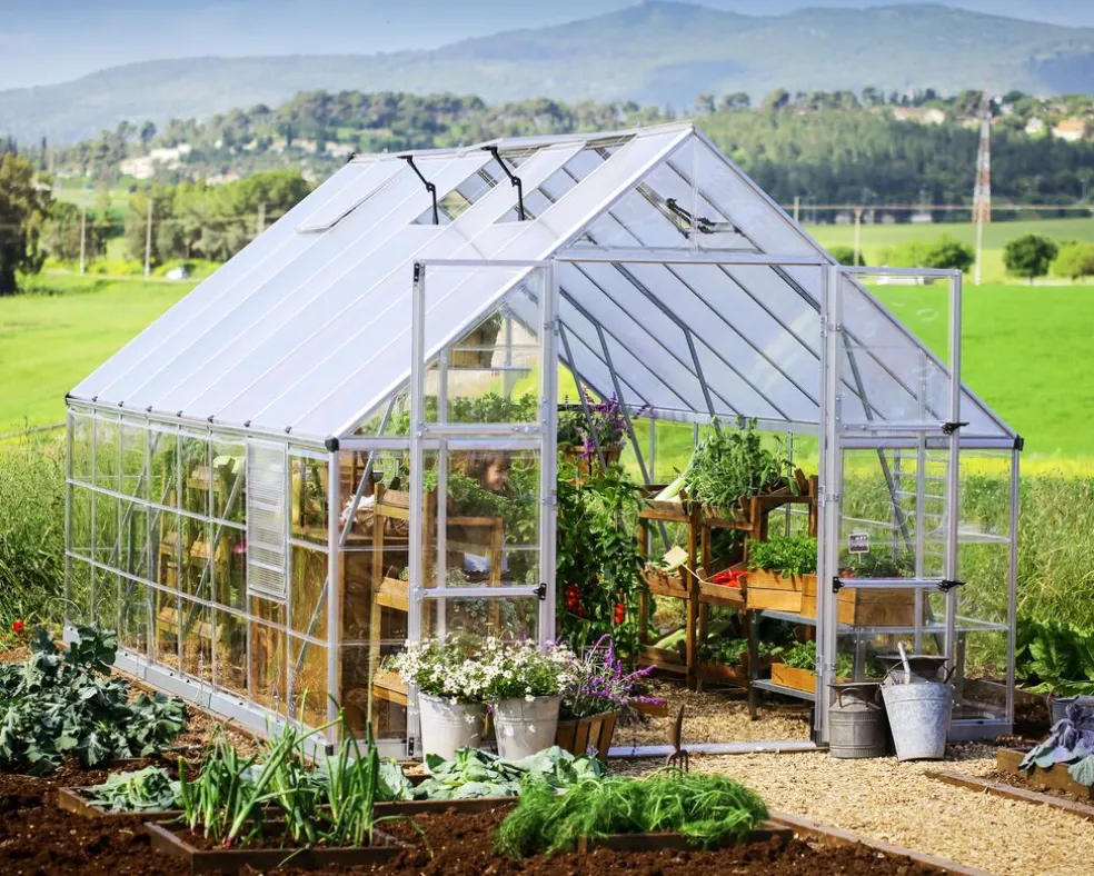 Växthus Balance 14,3 m² Silver Canopia by Palram