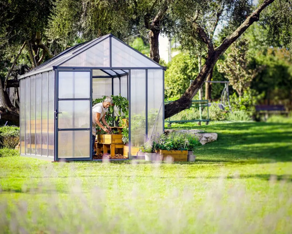 Växthus Glory Premium 9,2 m² Mörkgrå Canopia by Palram
