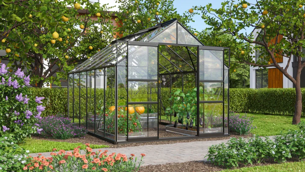 Växthus Mars 9900 Svart Glas Sockel 9,9 m² Vitavia