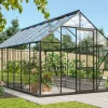 Växthus Merkur 11500 Svart Glas 11,5 m² Vitavia