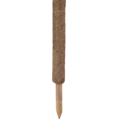 Växtstöd Kokos 40 cm
