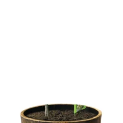 Whiskeytunna Original Ek Ø64 cm Scan-Pot